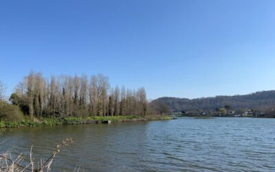 Millbrook Lake Flushing Schedule 2026